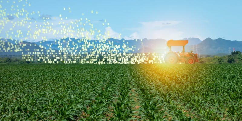 La révolution Agrifood-Tech dope les embauches de cadres