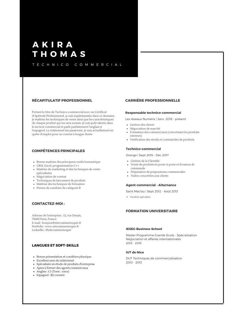 Exemple de CV de technico-commercial - Cadremploi