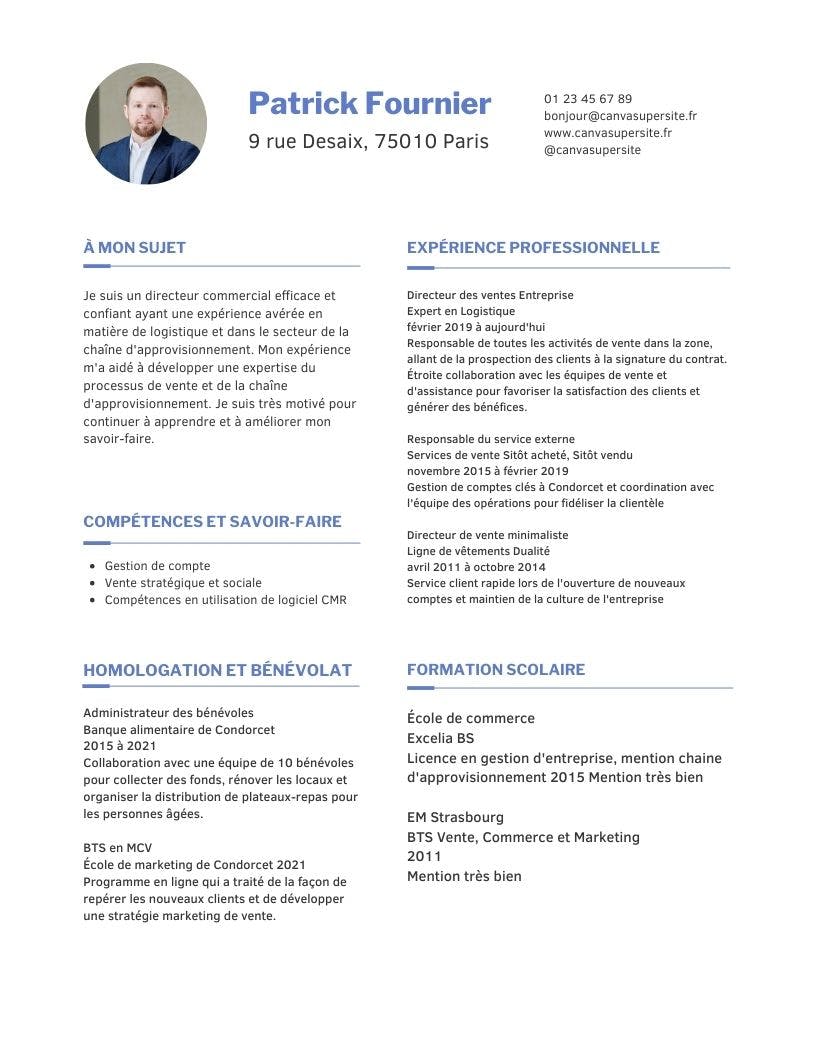 modèle de cv de directeur commercial