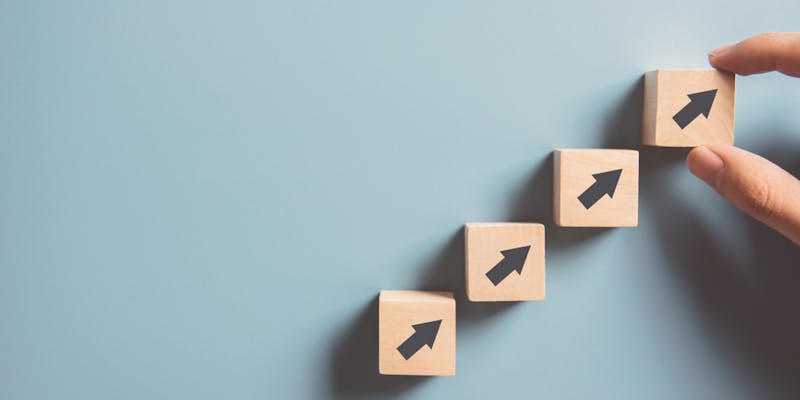 Gestion des emplois et parcours professionnels (GEPP)