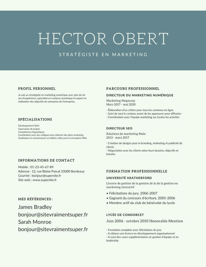 Modèle de CV marketing digital