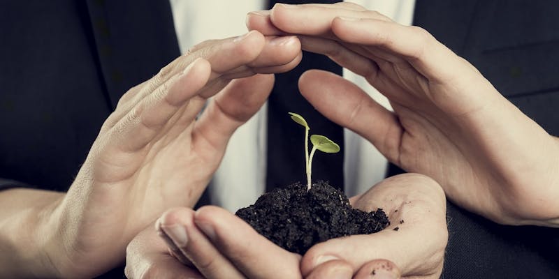 Comment reconnaître une boîte qui encourage la prise d’initiatives
