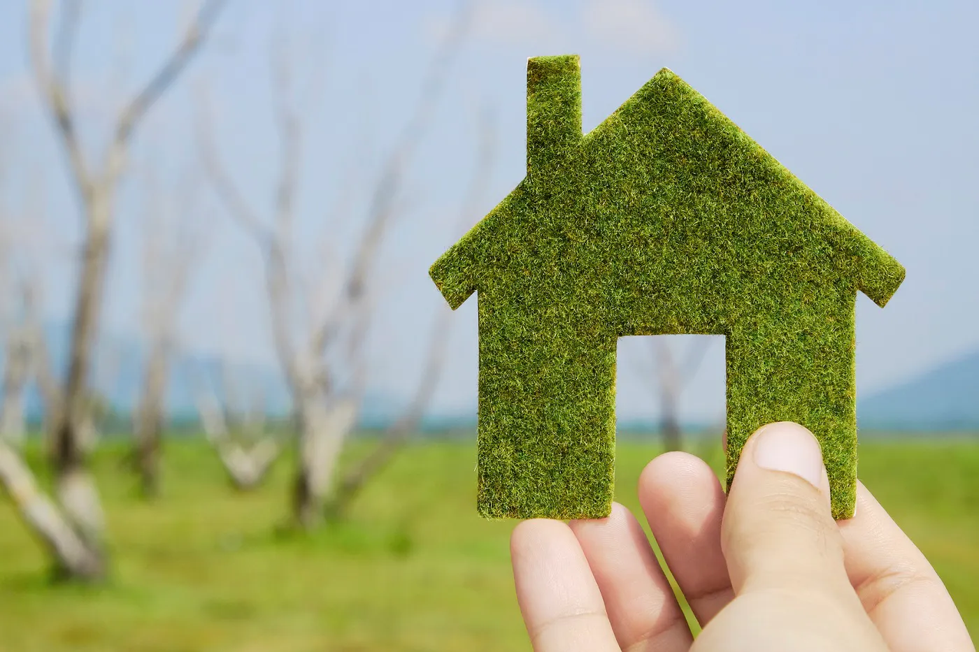 Les logements écologiques bientôt plus grands 
