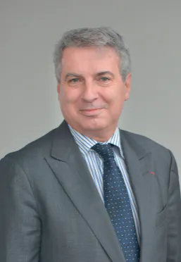 Serge Grzybowski, PDG d'ICADE